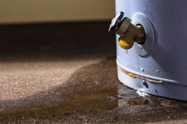 Water damage restoration experts in Heathcote, NJ