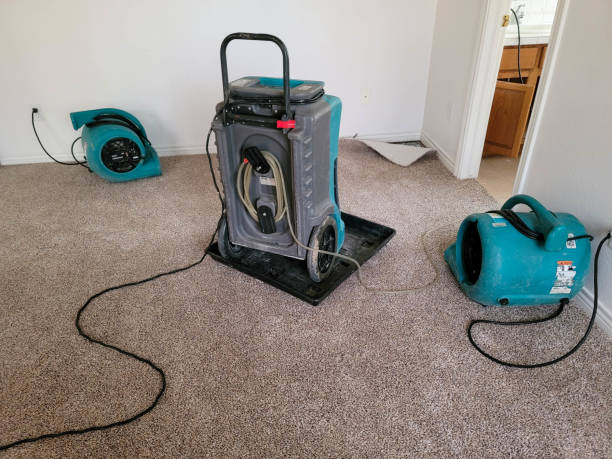 Best Ceiling water damage repair  in Heathcote, NJ