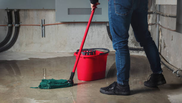 Best 24/7 water damage repair  in Heathcote, NJ