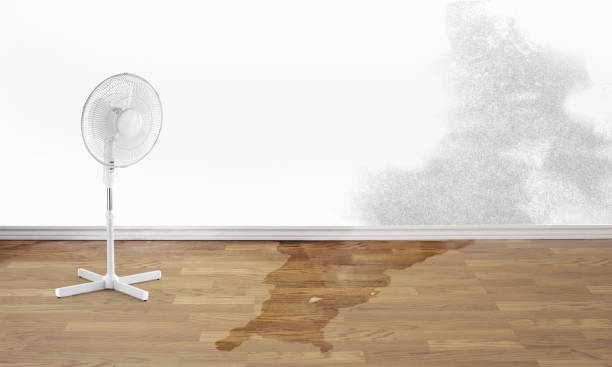 Best Water damage restoration services  in Heathcote, NJ